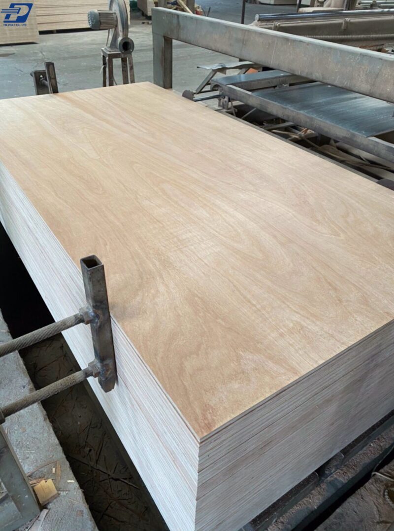 Ván bạch dương plywood