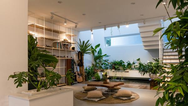 Thiết kế nội thất nhà phố 3